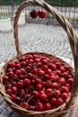 Cherries. Cherry. Organic cherries in basket on a farmerÃ¢â¬â¢s market. Red cherry background. Fresh cherries texture. Healthy food. Royalty Free Stock Photo